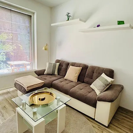 Tamara - Slnecnice Pozsony