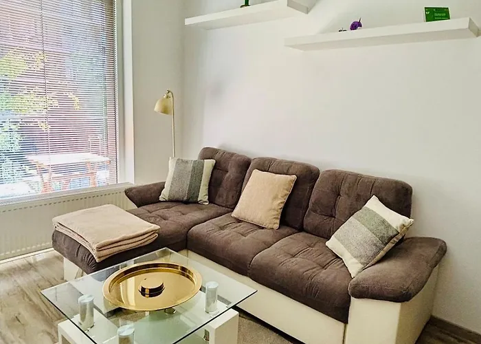 Tamara - Slnecnice Pozsony